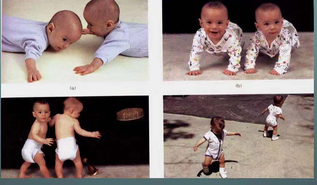 配眼镜到[镜匠人]解析—奇妙的视觉认知，家长必看！