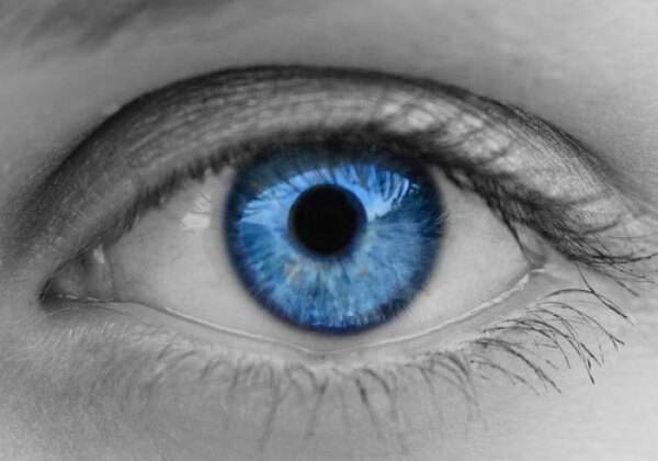 保护眼睛的小常识速get！