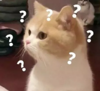 <b>一只眼睛近视，一只眼睛不近视，需要戴眼镜吗？</b>